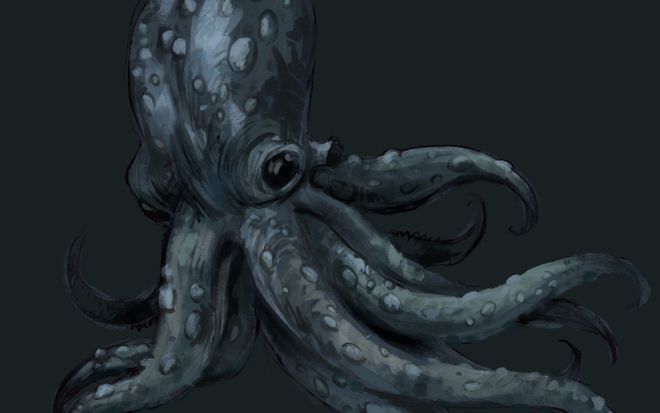 章鱼不是地球生物？研究发现：章鱼或来自外太空...