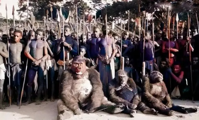 艾滋病源头之谜 第一个感染艾滋病的人类