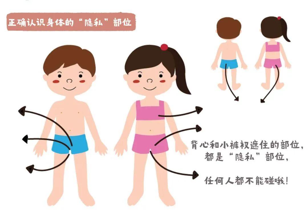 为什么人类男性隐私部位丢了一块骨头，却没有影响生育？