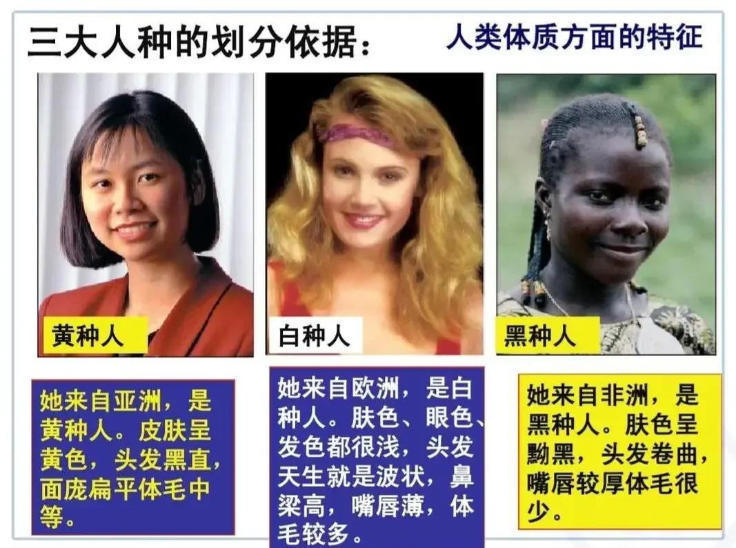 人类种族为何不归为亚种 肤色差异背后的科学解释