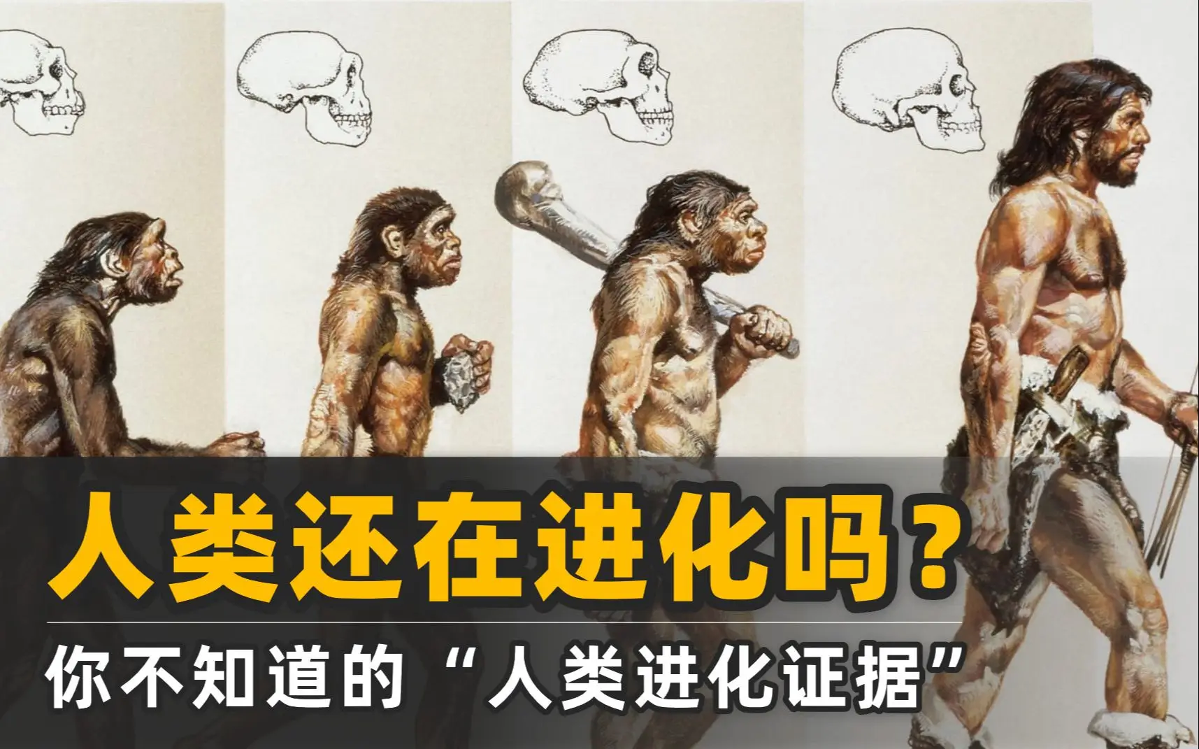 医学、一夫一妻导致自然选择失效，人类进化停止？...