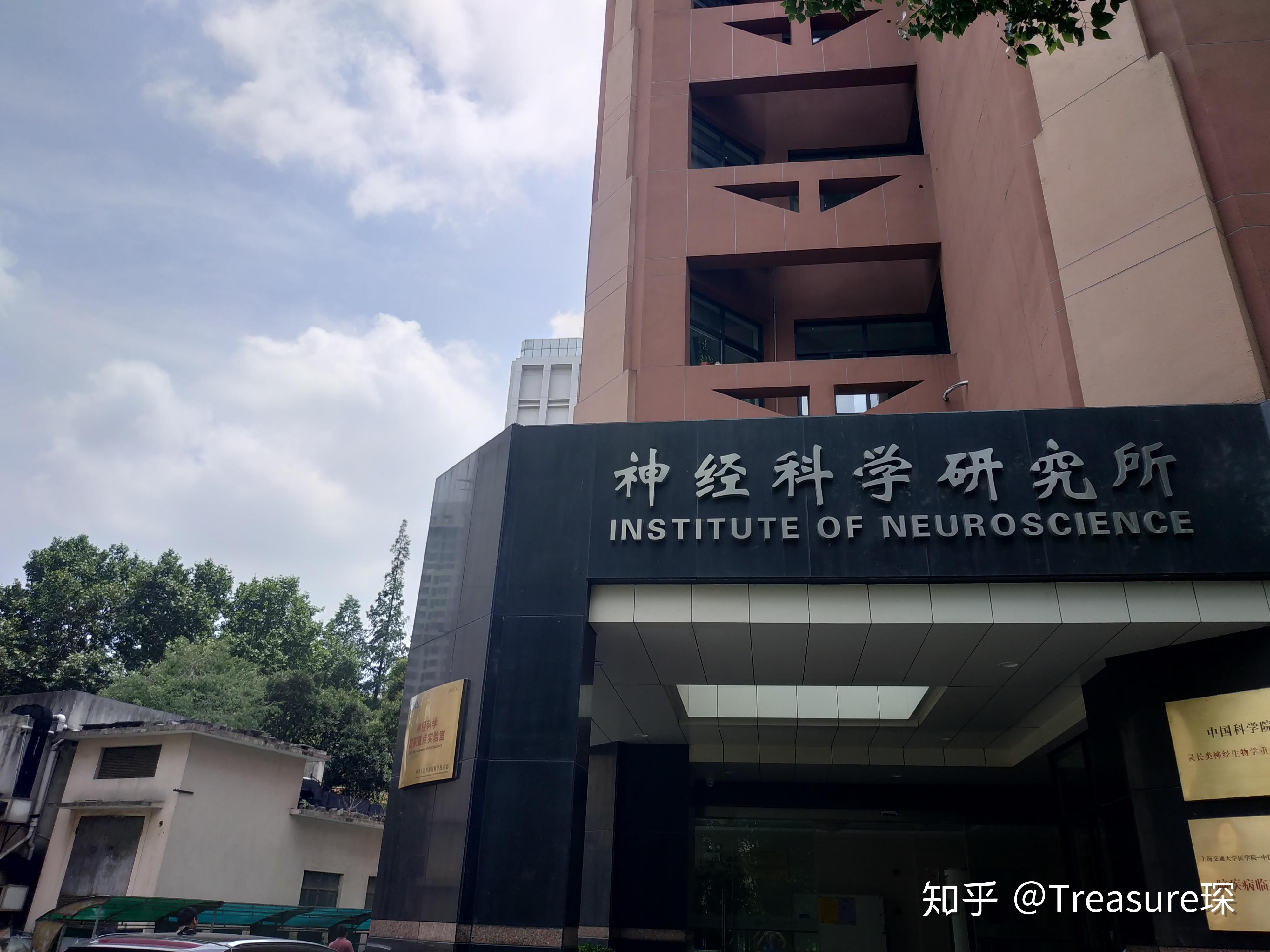 猪肝移植给恒河猴，目前已存活16天，未来人类或可作...