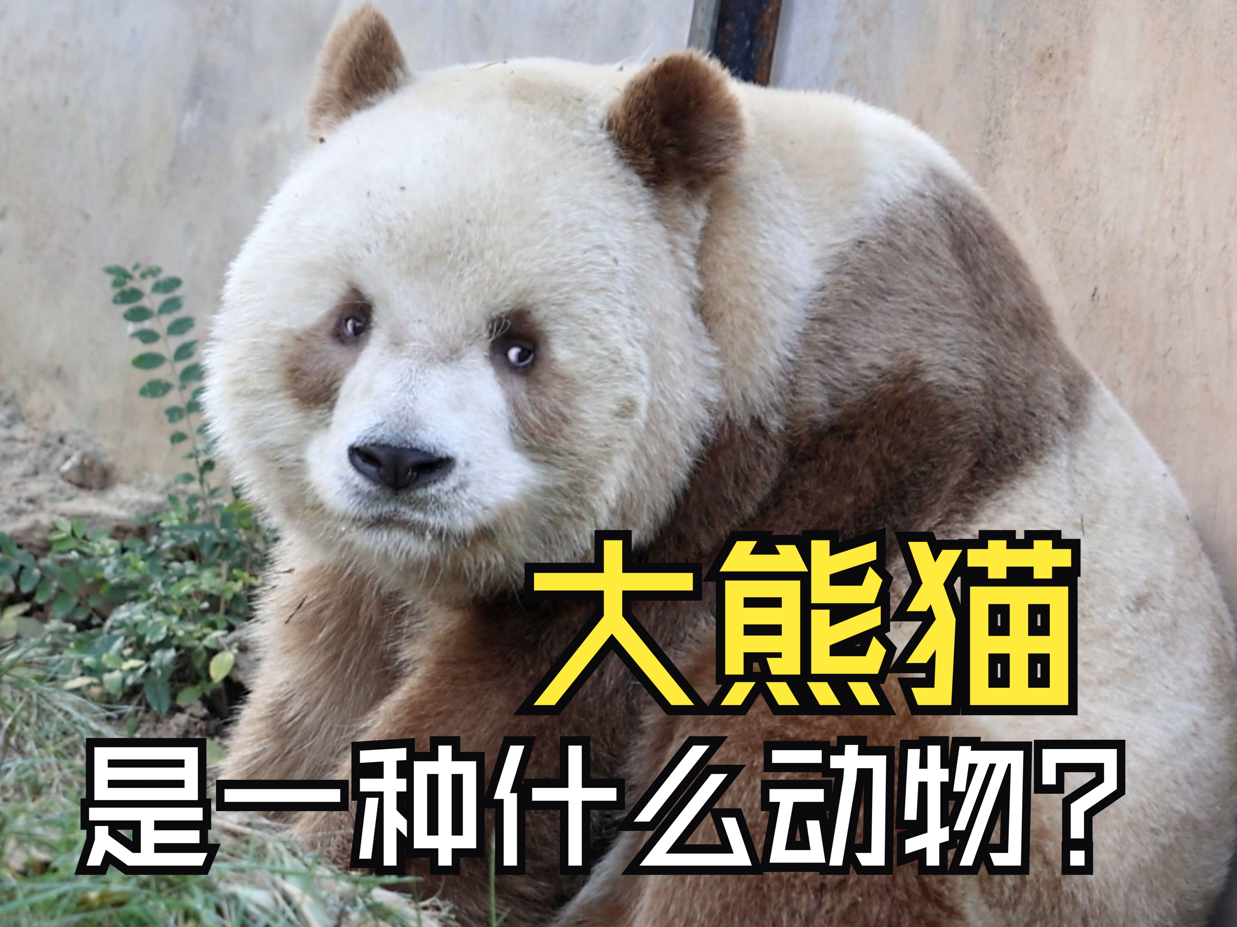 中国天眼发现神秘信号，重复1600次，外星人或存在...