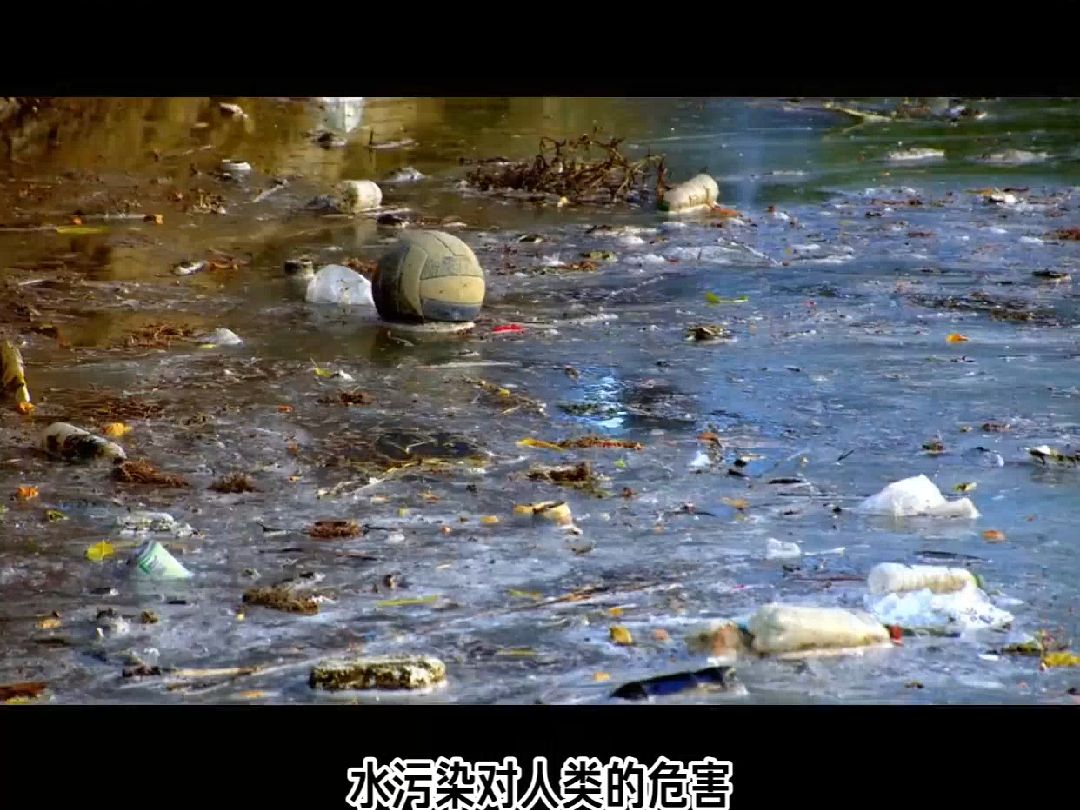 人类破坏环境水污染事件 水污染危害健康典型案例