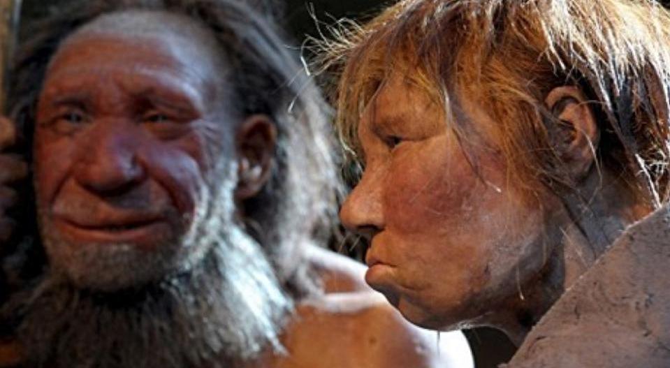 人类祖先的混血史有多乱?曾与神秘物种交配,这是怎么...