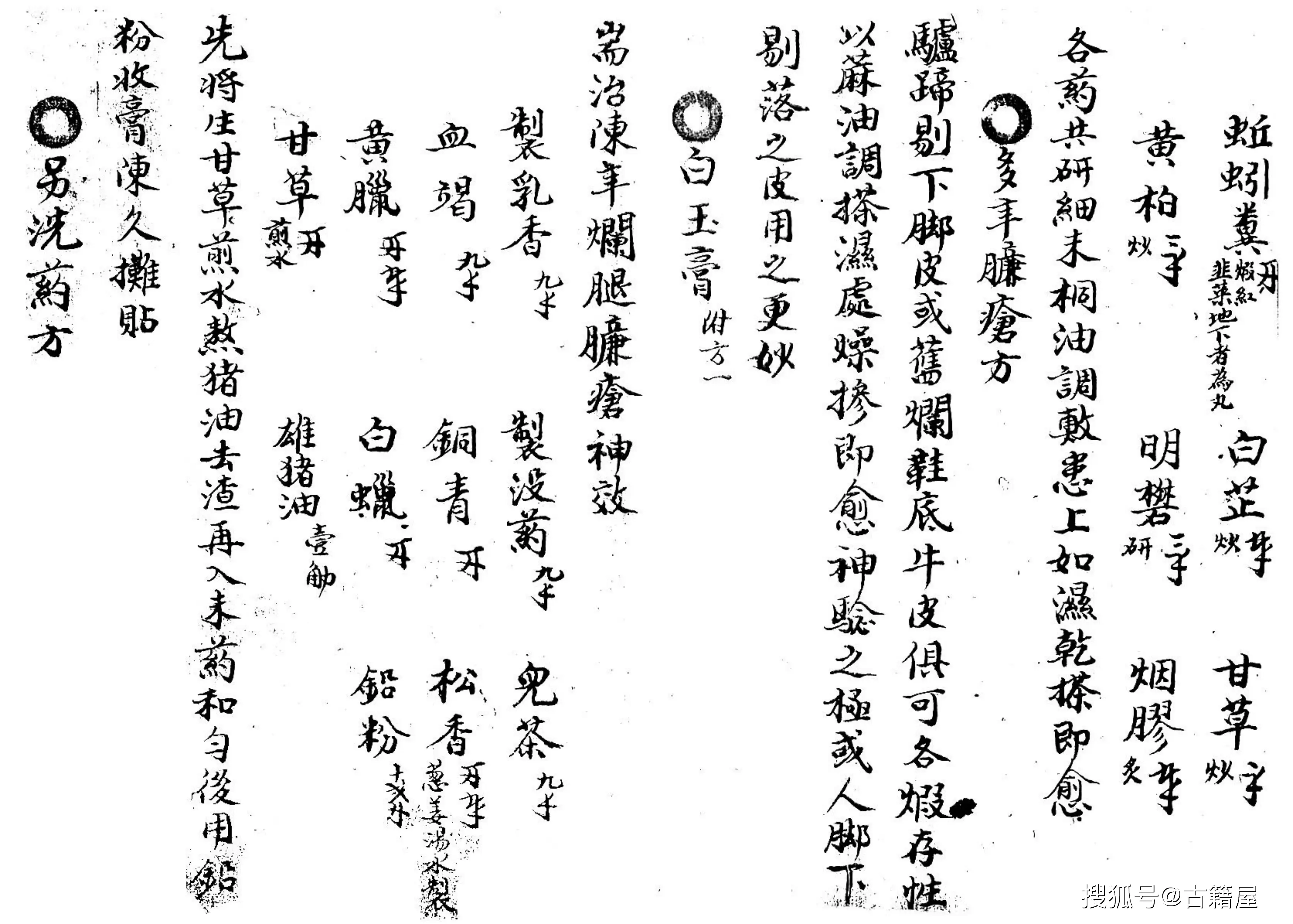 为什么“人工湿地”是污水危机的一剂良方？...