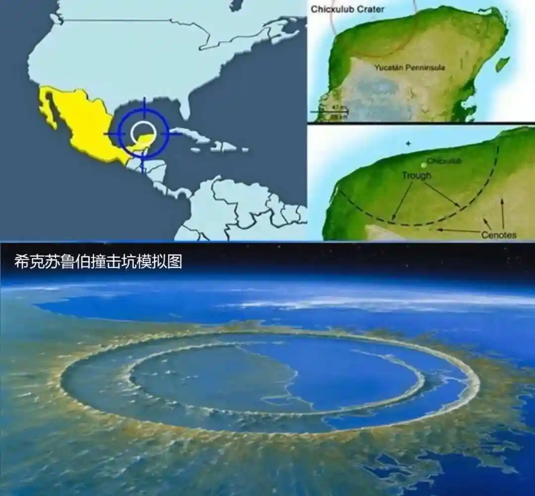 新冠病毒来自外太空吗 流星带来病毒是真的吗