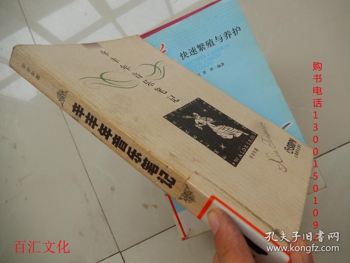 辛丰年音乐立场 辛丰年儿子眼中父亲