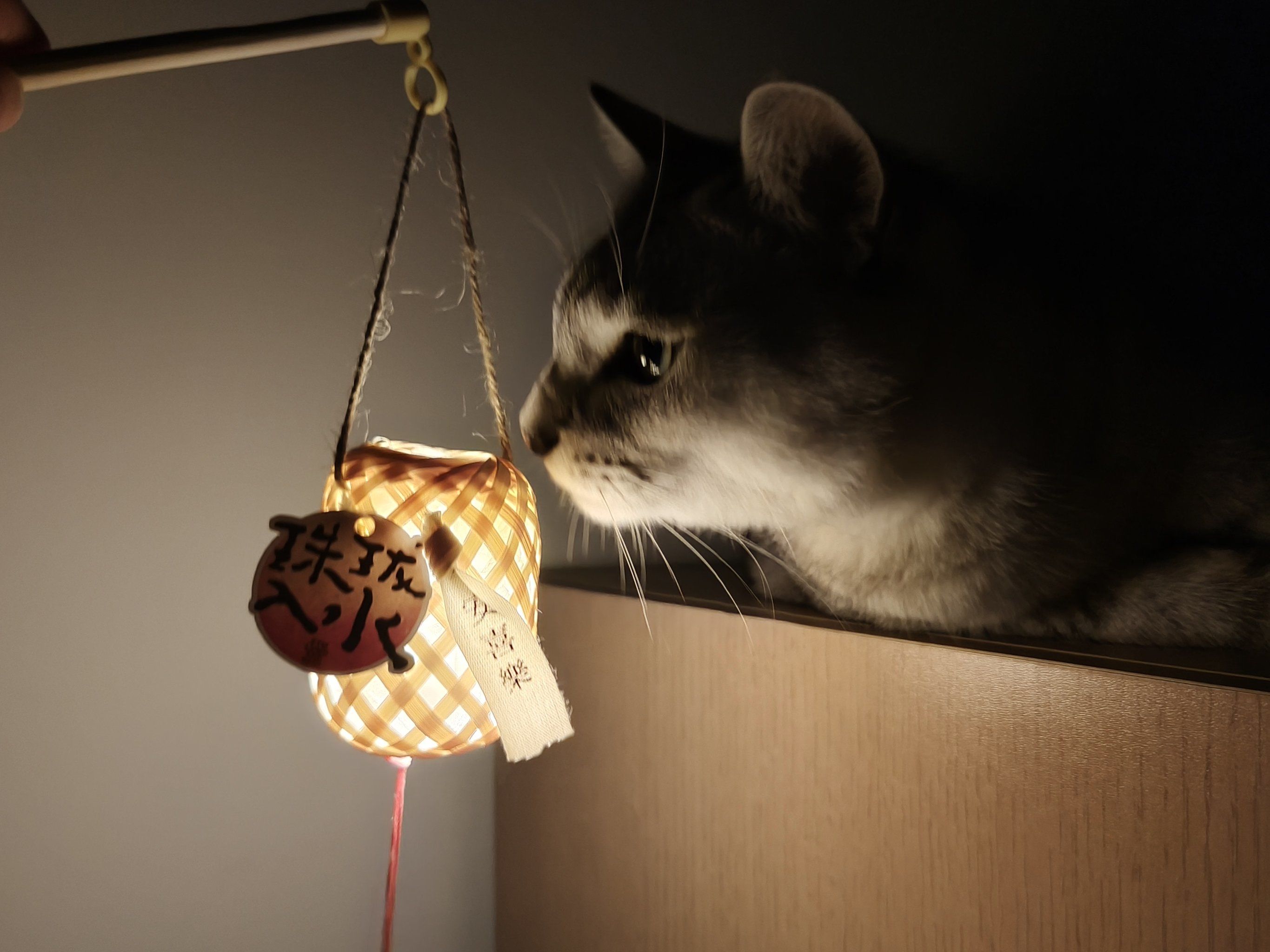 灯影牛肉丝哪个牌子最正宗 成都十大必买特产清单