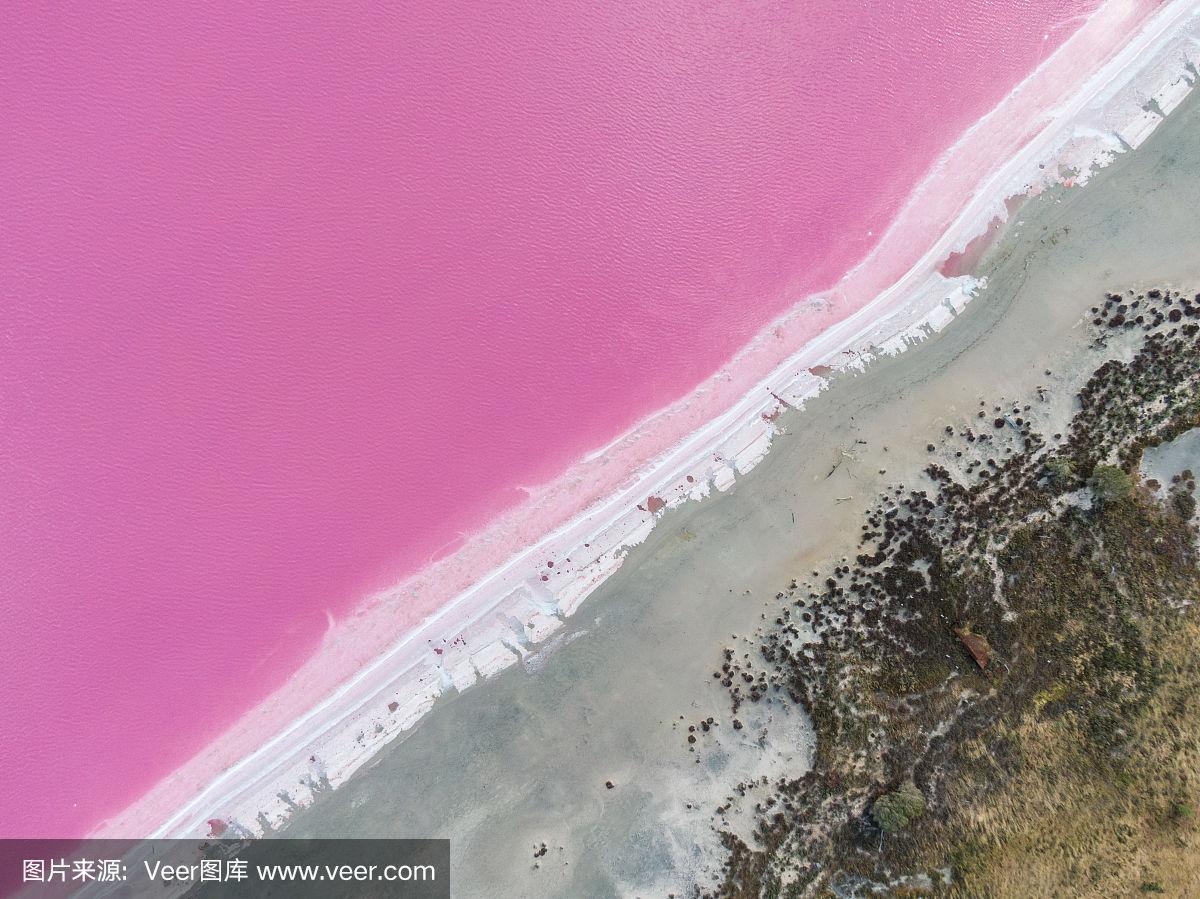 为什么世界上没有粉红色，但我们还能清楚地看到它？