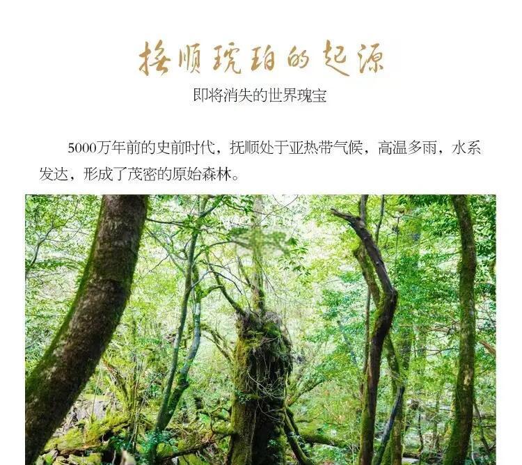 九米厚的煤层是多高的树木变成的？成规模的煤层为啥都...