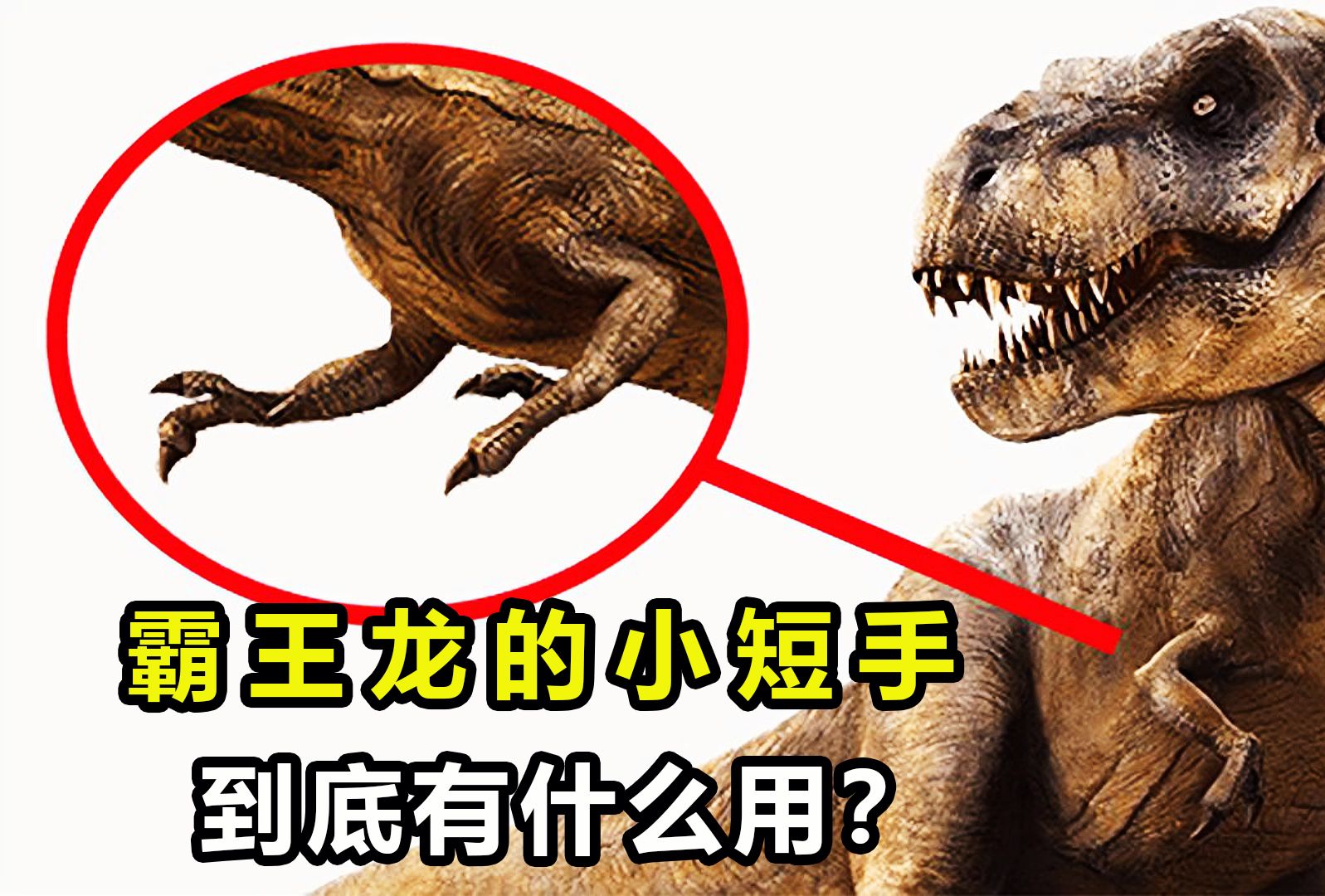 霸王龙小短手作用 霸王龙前肢功能解析