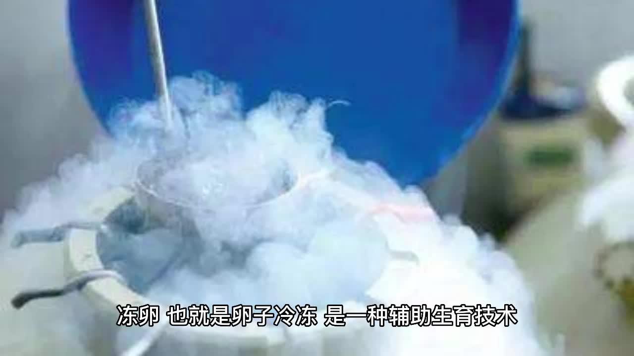 为什么冻卵权和生育权是加拿大女权进步的象征?...