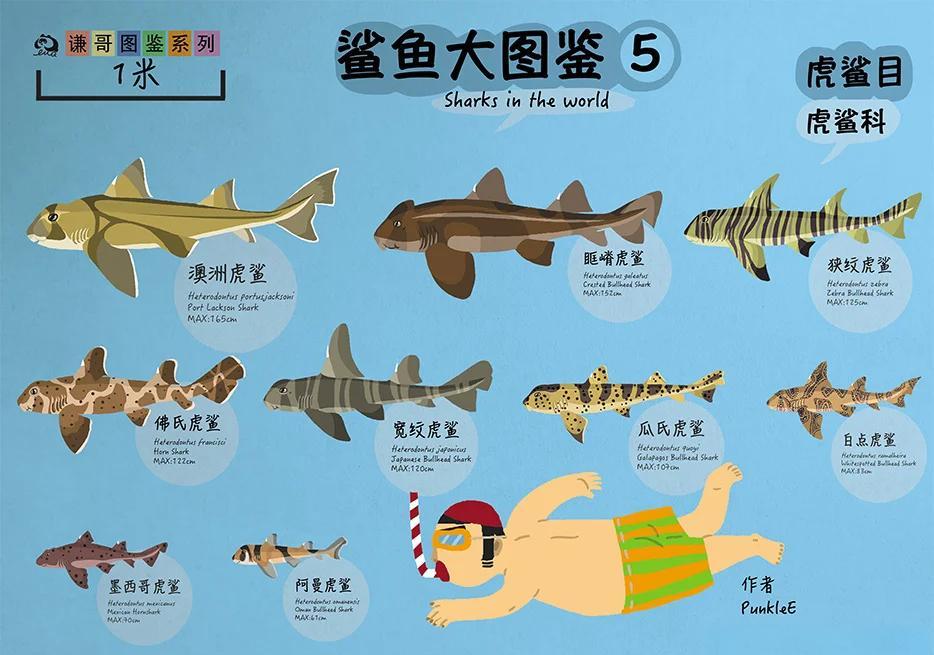 人类是一日三餐，为什么鲨鱼老虎就可以一餐抵一个月？...