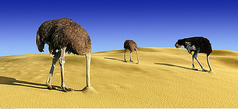 对于未来的灾难，人类选择做一只逃避的“鸵鸟”？...