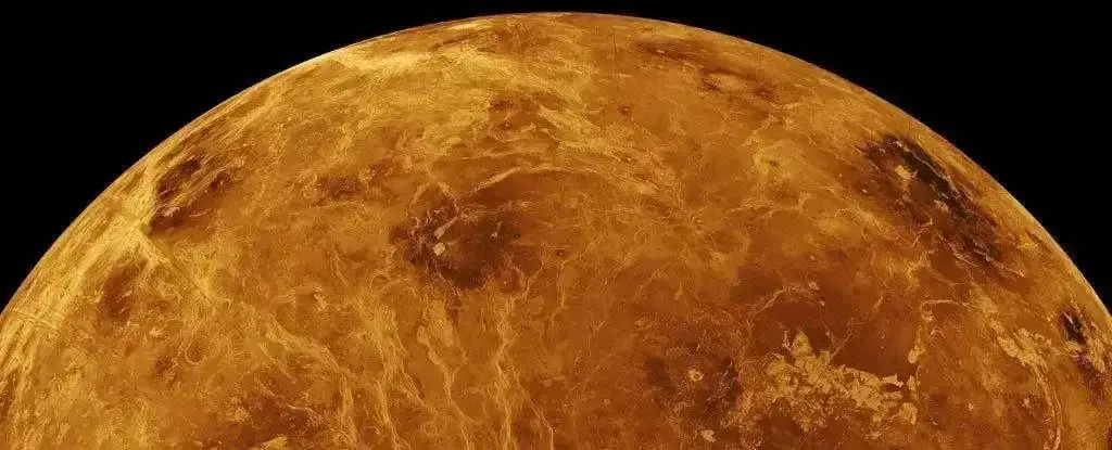 金星上到底有没有生命？最新发现让人大吃一惊！