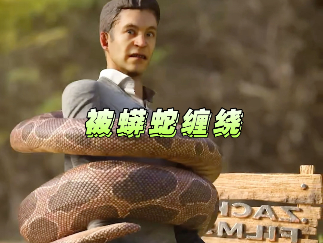 被蟒蛇缠住怎么办 野外遭遇蟒蛇自救指南