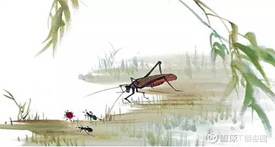 六七八月大雪纷飞，全年低温无夏日，1816年到底发...