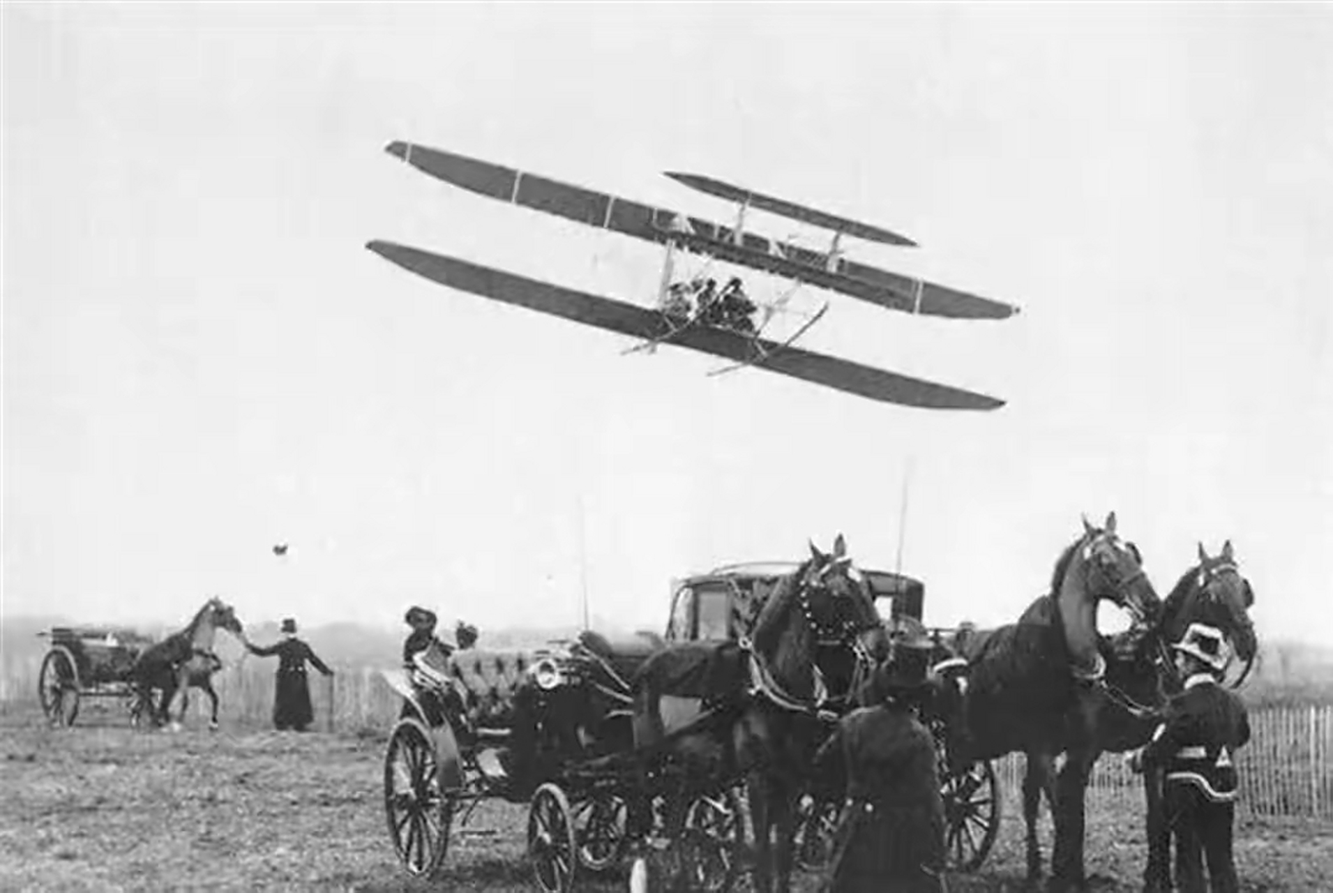 不拍翅膀就能飞？这种鸟重32斤，可滞空5小时飞行1...