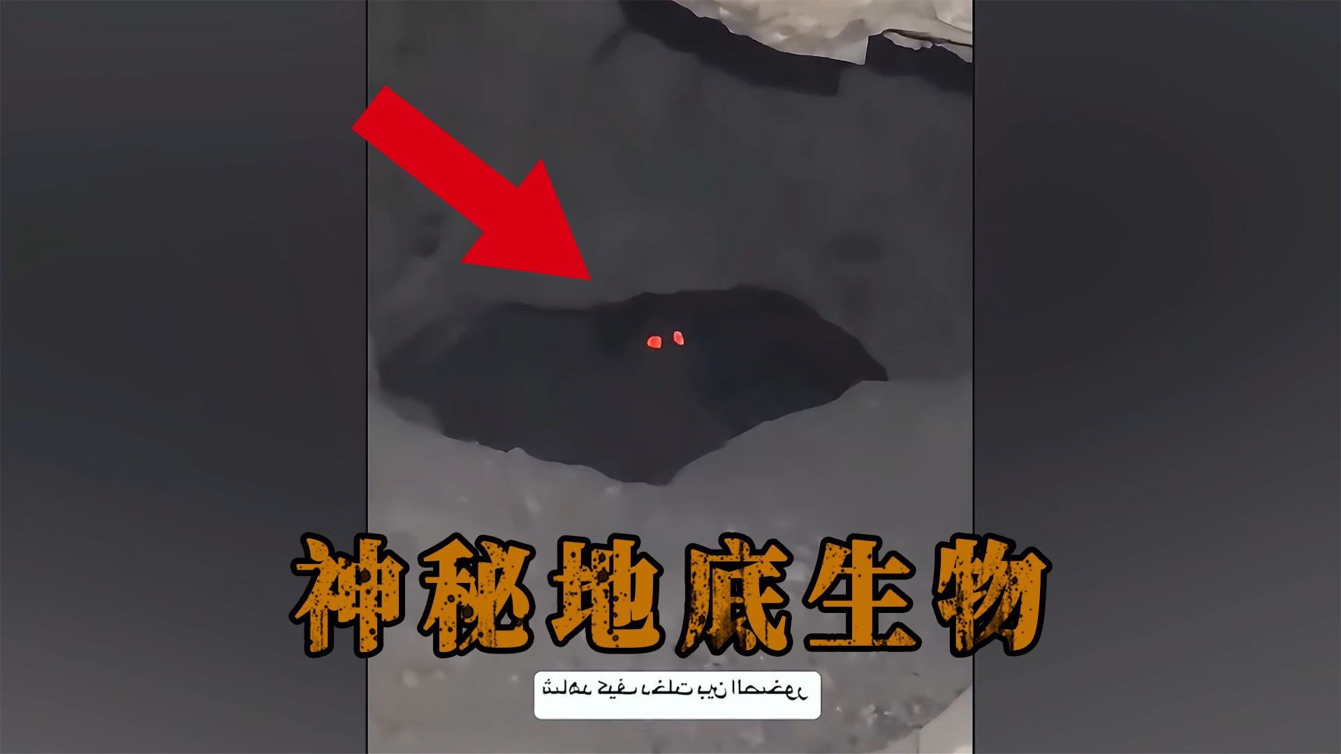 通过谷歌地图，真的能在极地发现外星人基地吗？...