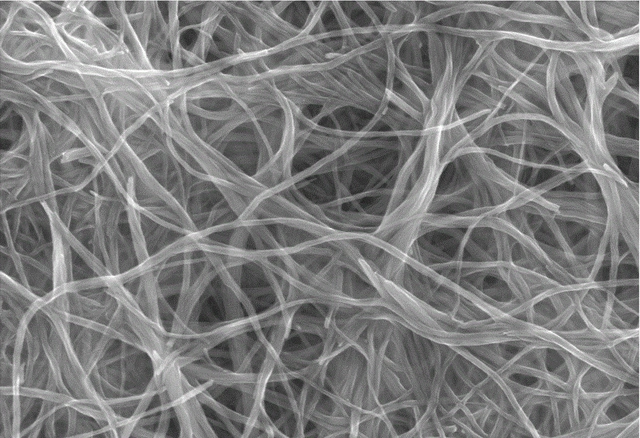 如果一人被夸克级的细丝截断脖子，还能活着吗？有何科...