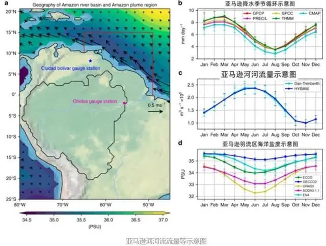 亚马逊河和长江到底有什么区别？为什么没人敢在亚马逊河游泳？