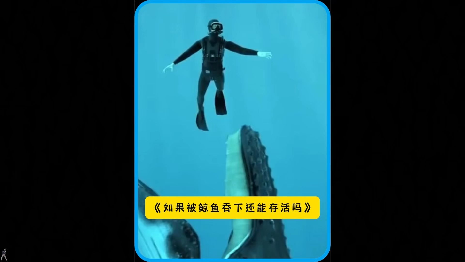 假如被鲸鱼吞下，携带一把锋利的刀，可以顺利从鲸鱼体...