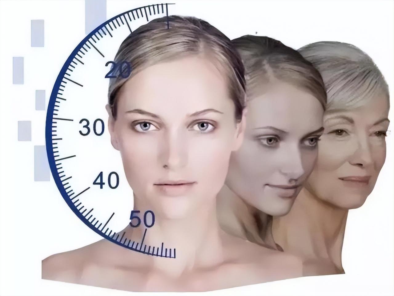 干细胞抗衰老效果显著 人类能否逆转衰老进程