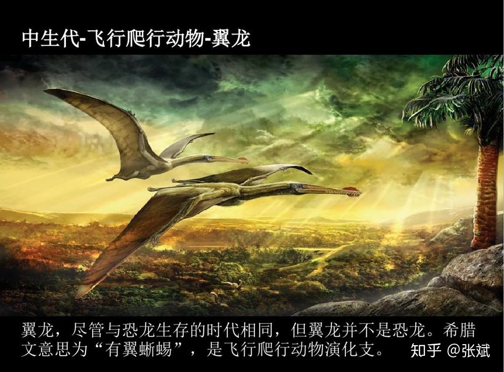 人类在进化之路上为什么没有选择无性繁殖？...