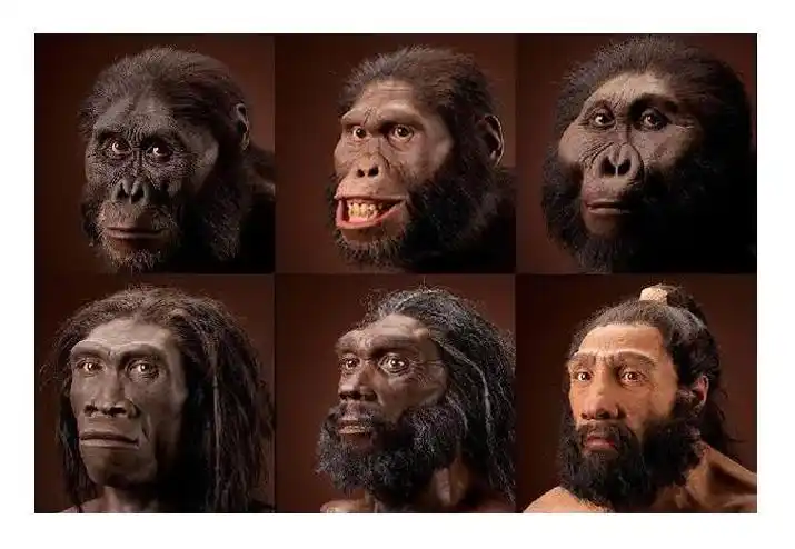 为什么人类失去了毛发，却选择穿衣服保暖？