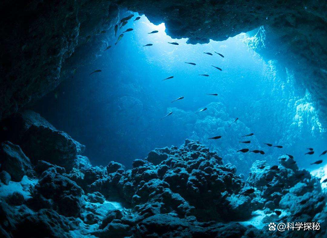 龙深藏海底之谜 龙是否真实存在