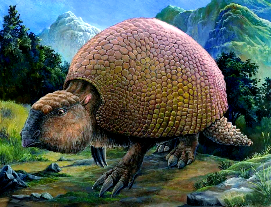 为改造人类基因，他为人移植了动物的生殖器，结果怎么...