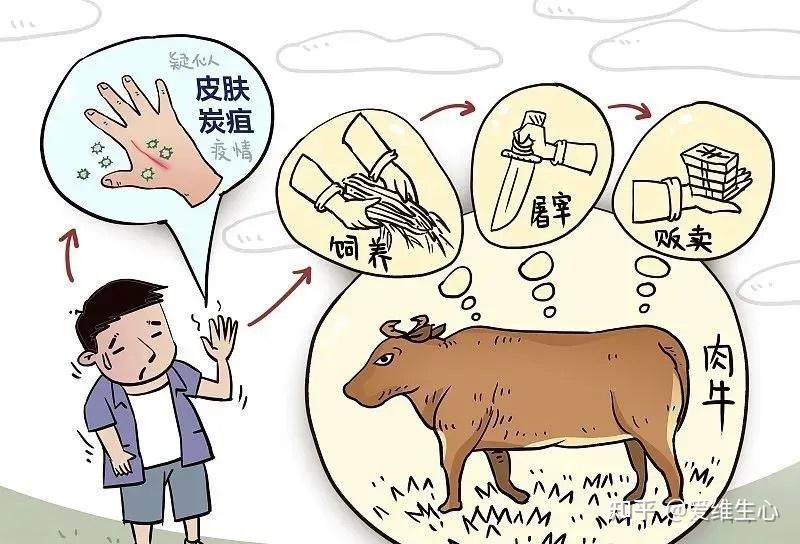 为什么说得上炭疽病的河马会变成食肉动物？...