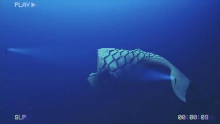 如何成为掌控大数据的“猎人海力布”?...