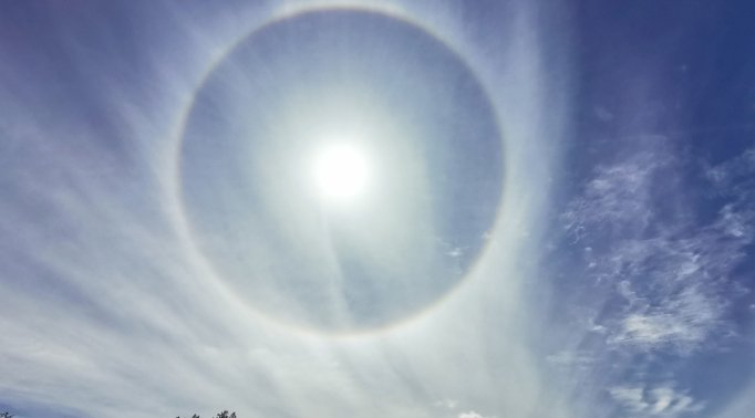 传递外星人信息？神棍or先知？...