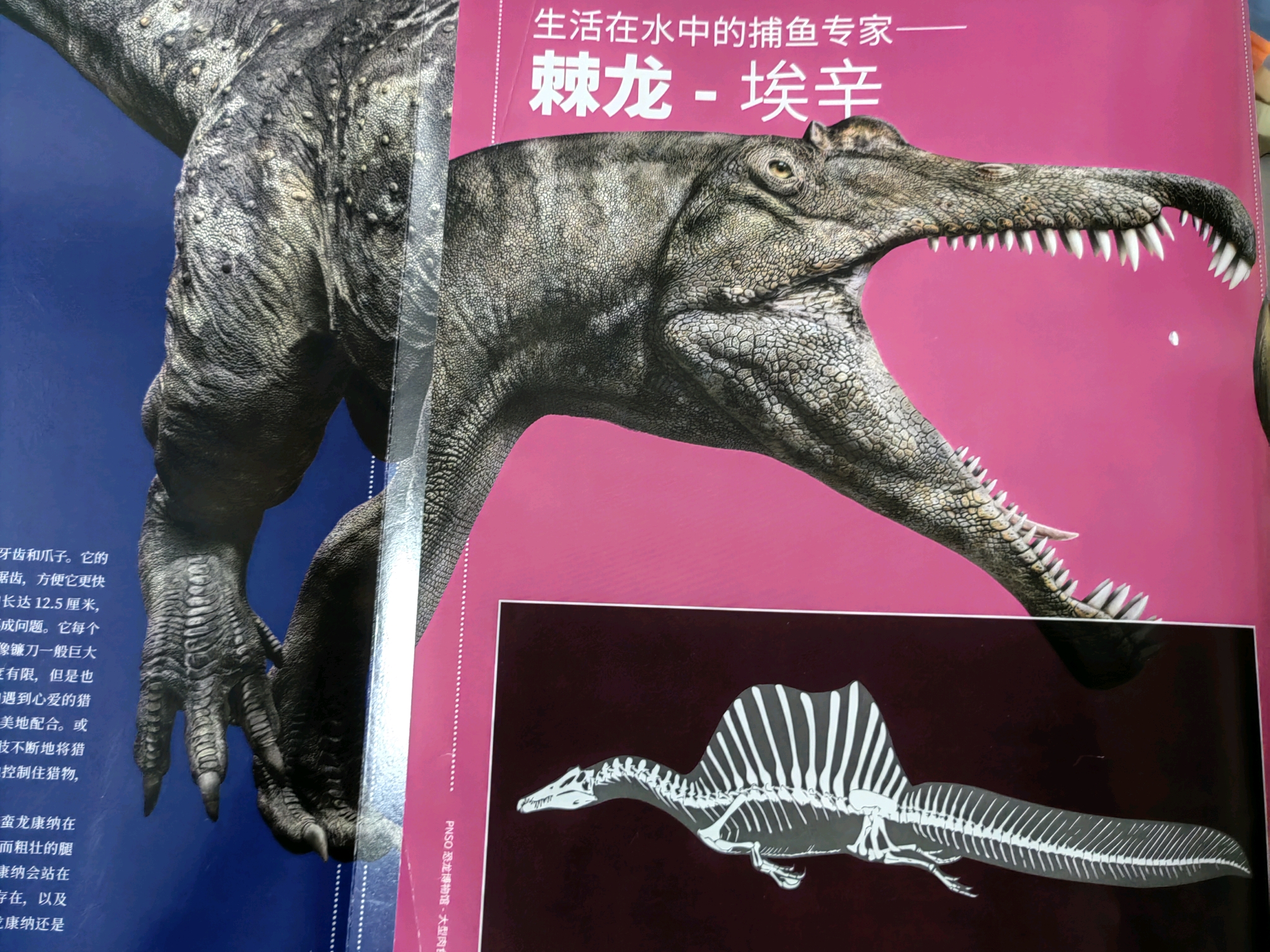 我们现在喝的水，曾经在「恐龙的膀胱」里待过吗？...