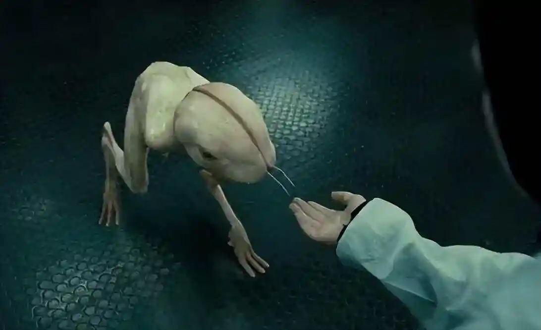 日本批准首例“人兽杂交胚胎实验”，这到底是科学进步还是疯狂行为？