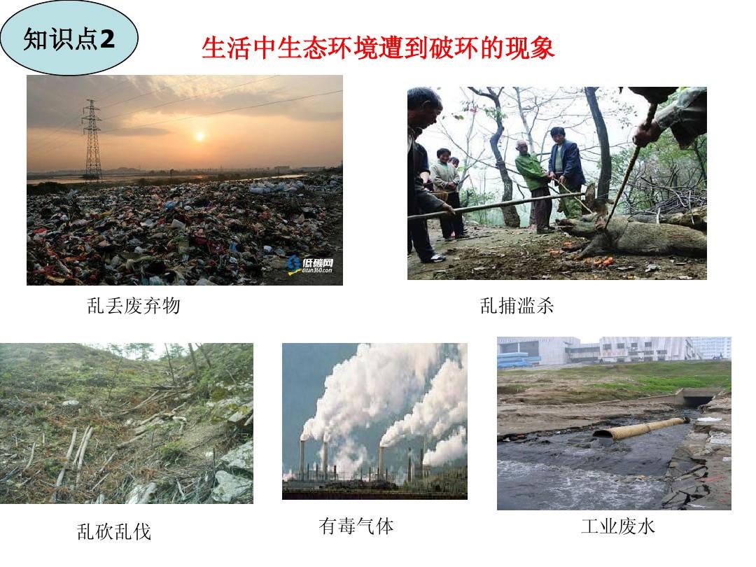 生态灾难真的那么可怕吗？澳大利亚野兔泛滥背后隐藏了什么秘密？