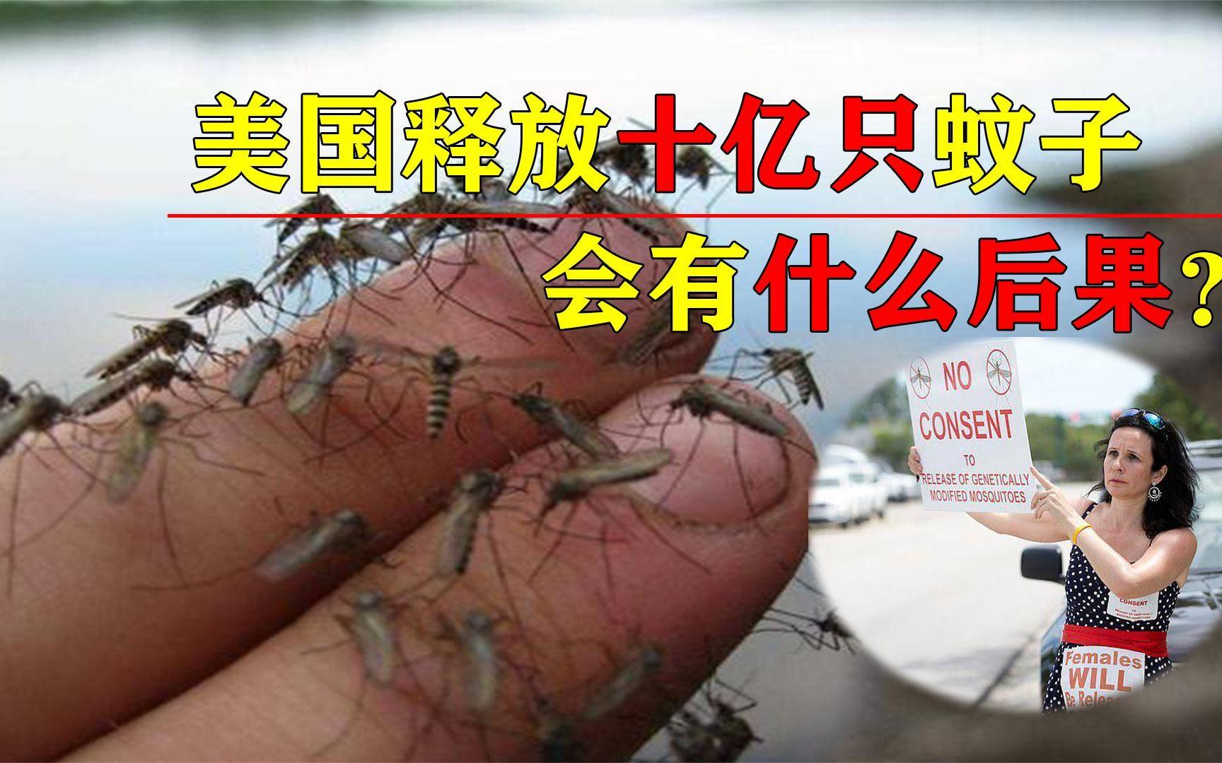彻底消灭蚊子？美国将释放数百万转基因蚊子，专家：恐...