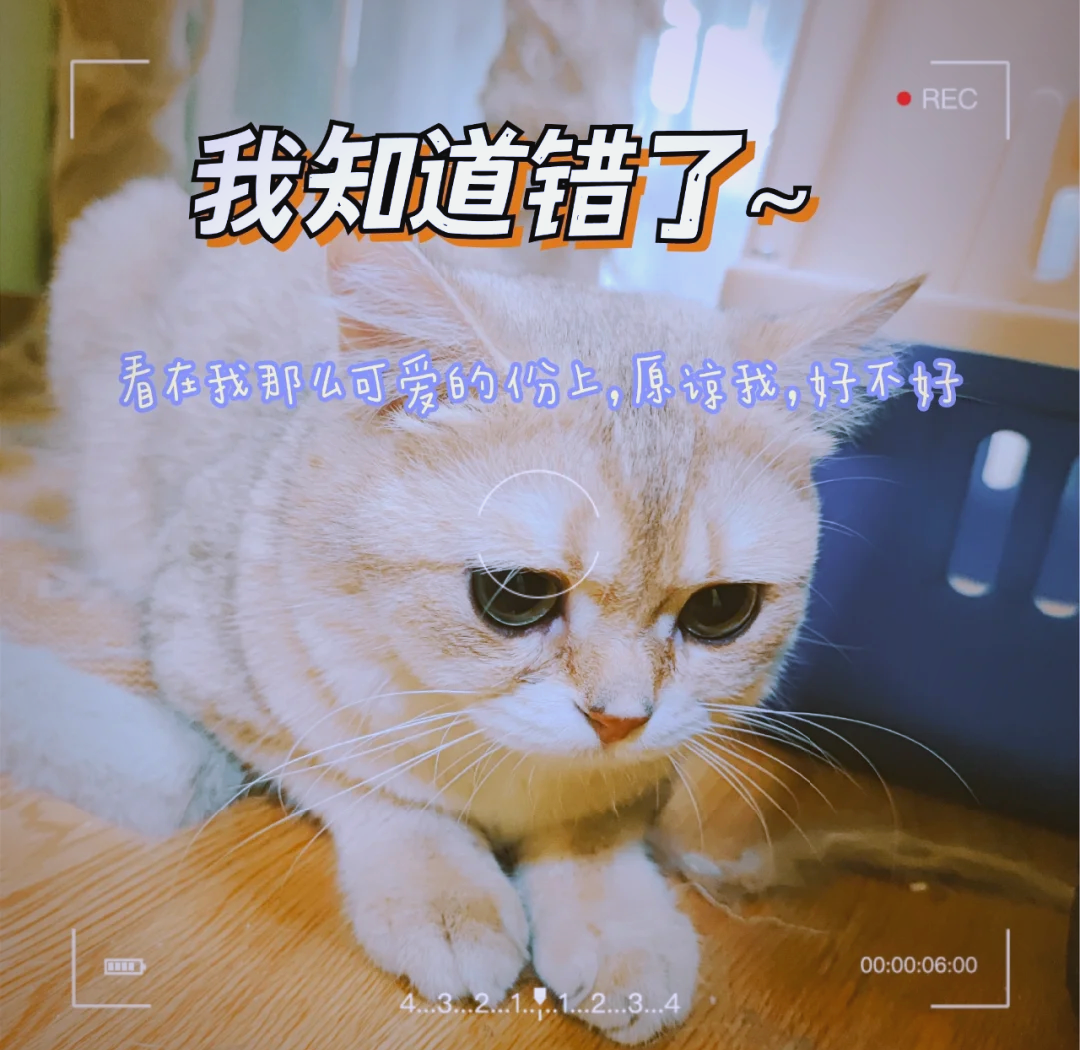 如何做到惩罚的最高境界，让娃愉快地“长记性”， 又...