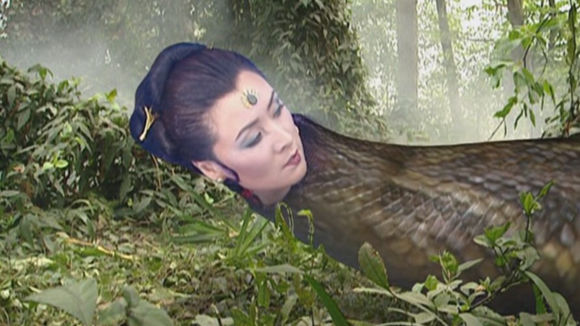 动物园50岁巨蟒，15年没见雄性却下了7个蛋，这是...