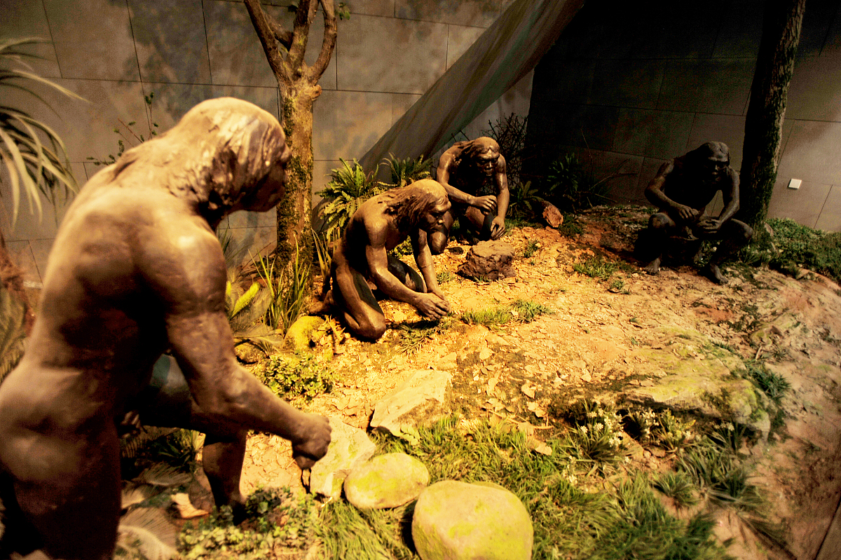 人类进化过程中丢失了“丁丁骨”，是退化还是新的繁殖...