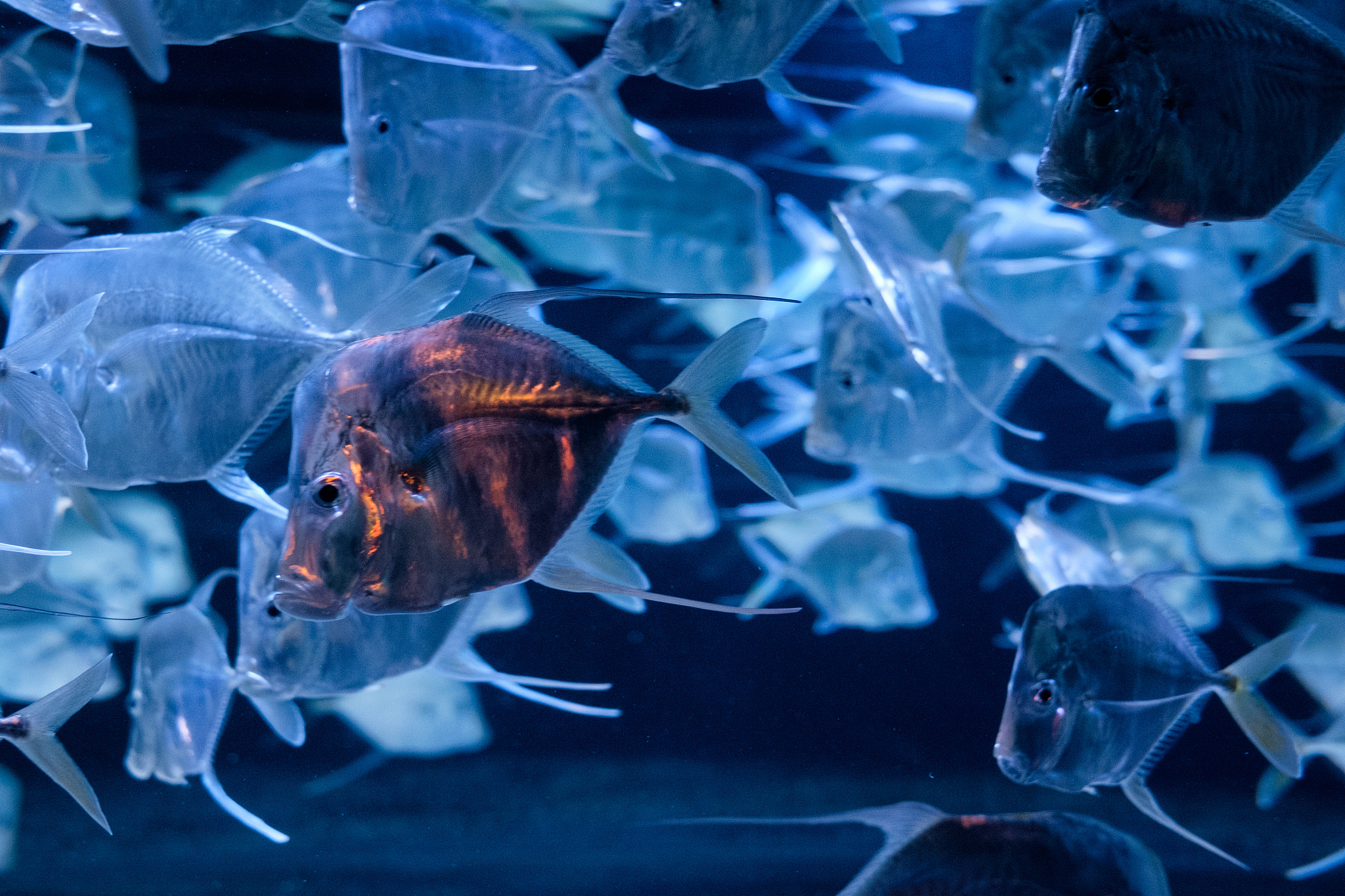 与长辈的相处之道,不是所有的鱼都生活在同一片海里...