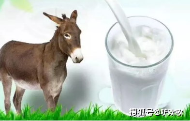 驴奶牛奶哪个好 什么奶制品最有营养