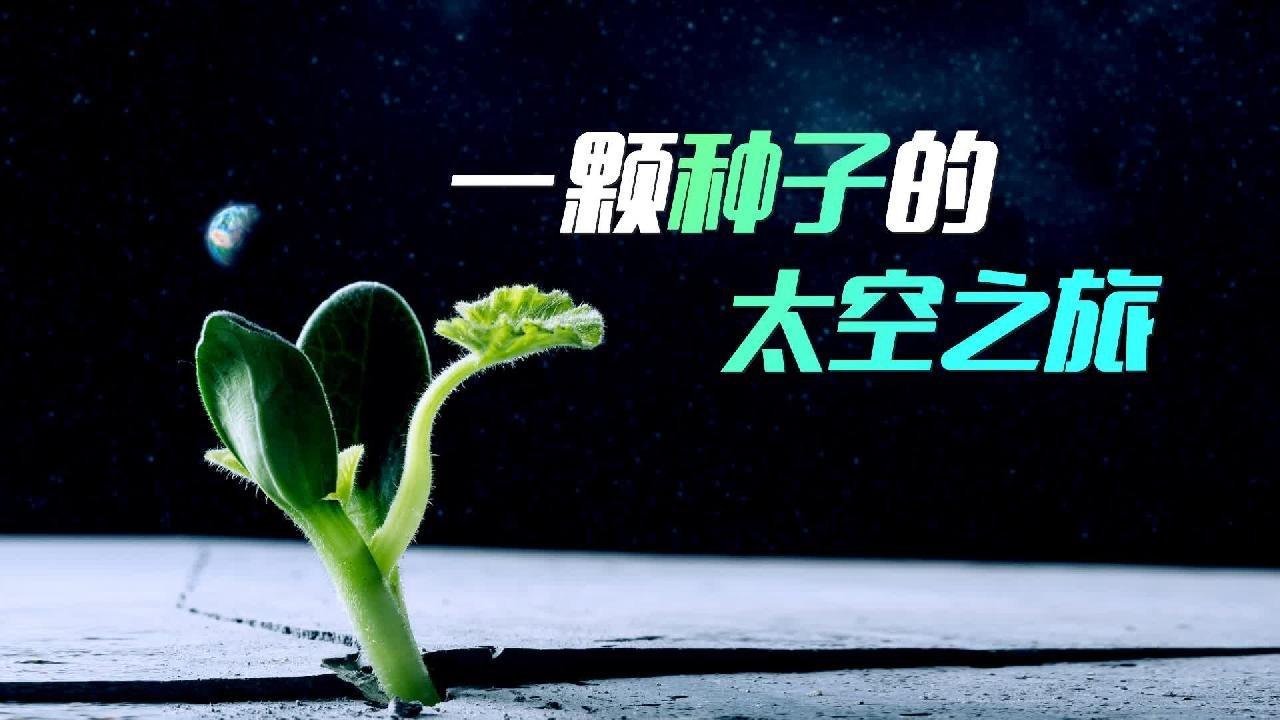 宇宙结构的“种子”咋来的？如果密度波动发生变化，会...