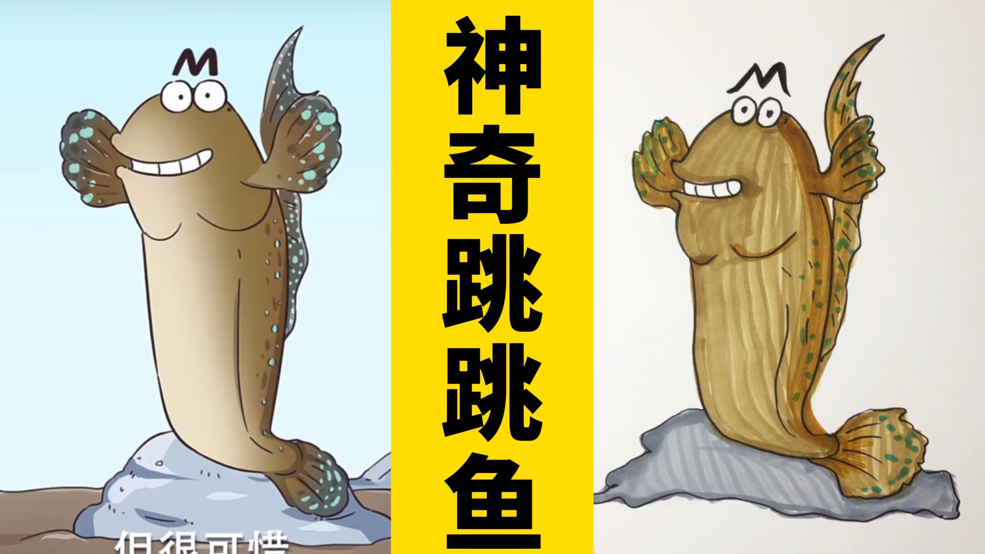 跳跳鱼陆地生活奥秘 这种鱼竟能上树爬行