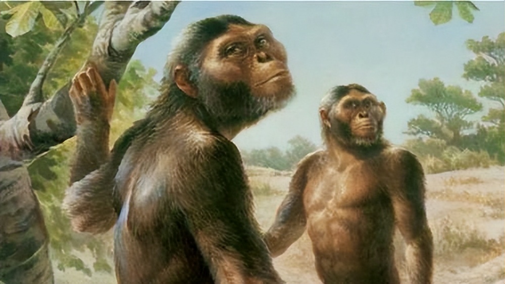 人和黑猩猩后代实验，苏联科学家重金找到5名女性，结...