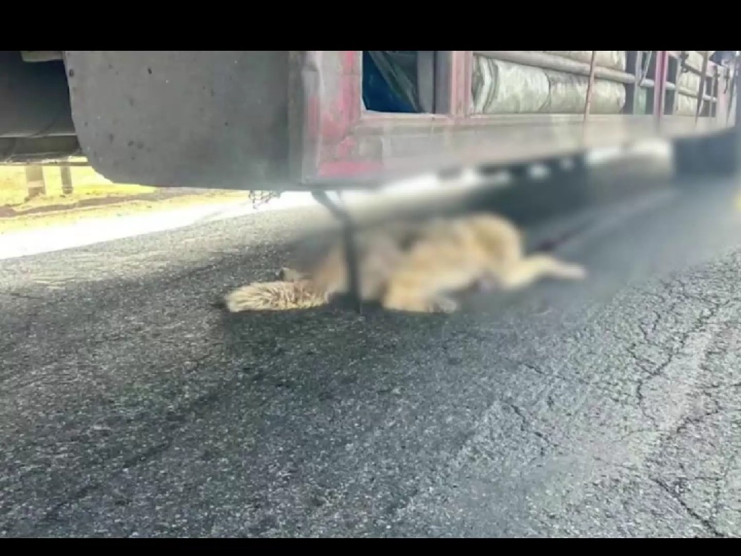 AI距离人脑还有多远 ？...