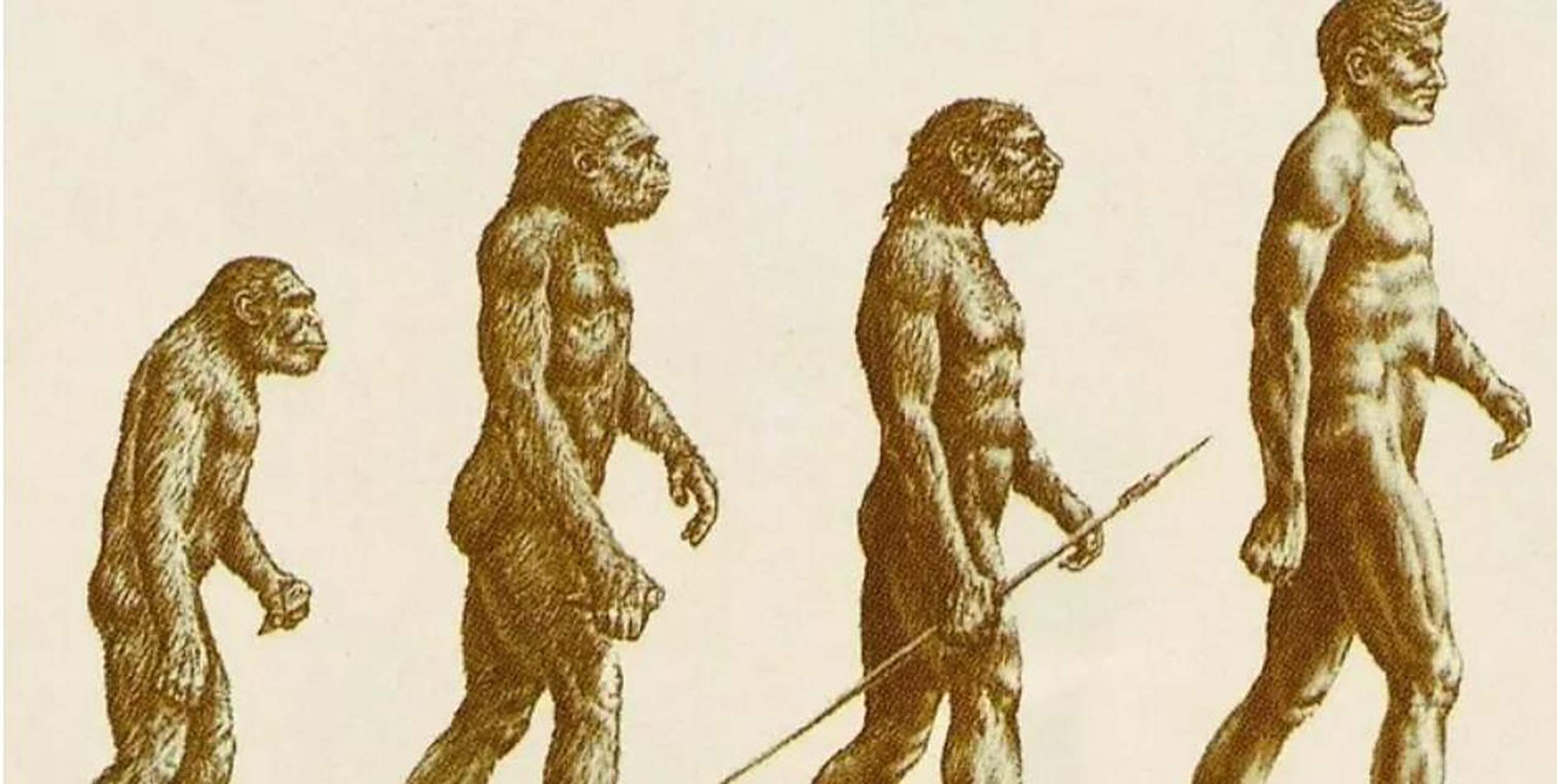 人类起源最大骗局，存在了100多年，3亿年前我们真...