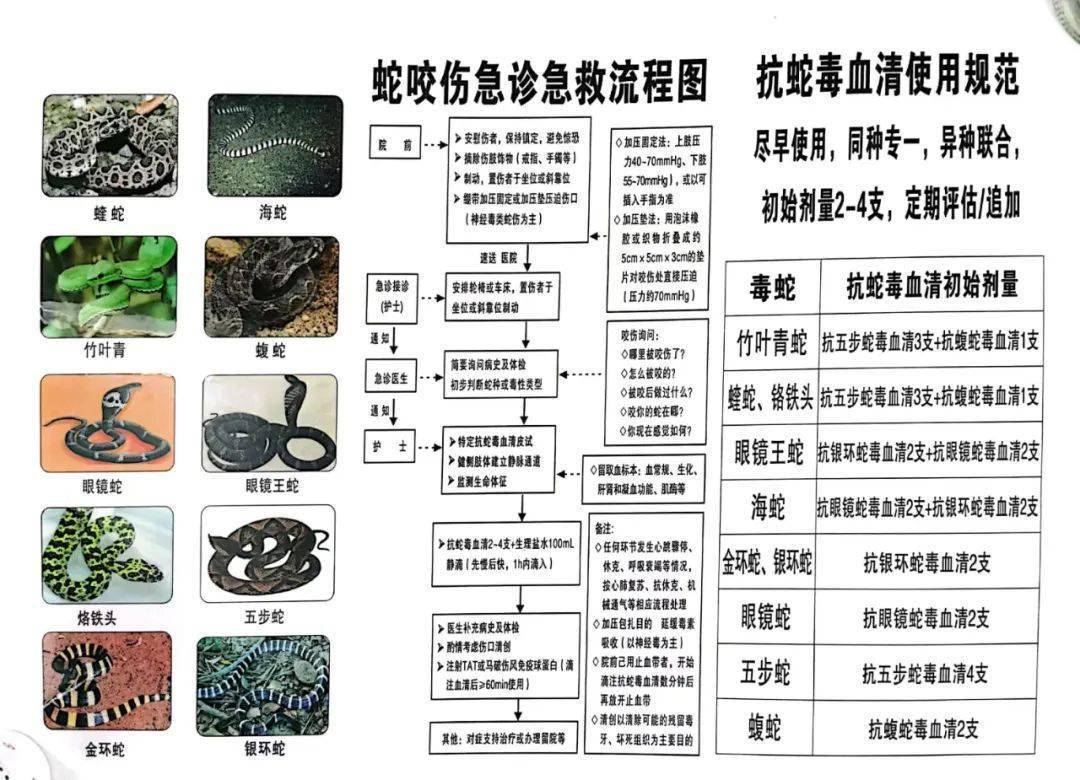 把提取的蛇毒,再注射到蛇的身体里,它能免疫吗?...